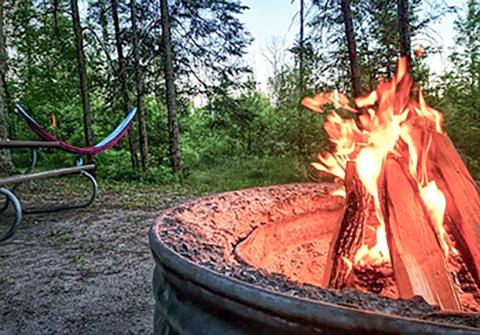 Leave firewood at home