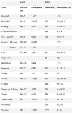 MHSAA member high schools report highest participation since 2018-19