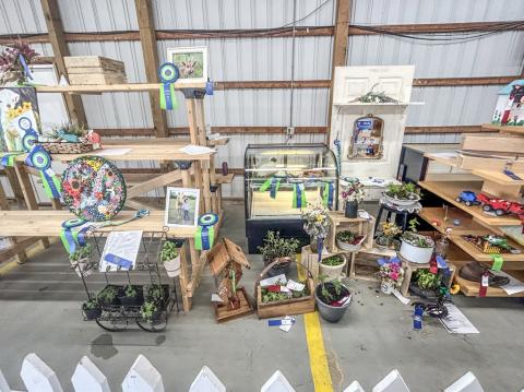 Still exhibit program is on the rise at the Gladwin County Fair