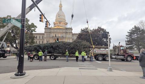 Local business delivers state Xmas tree to Capitol