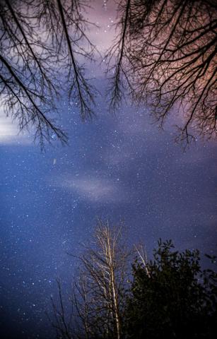 Little Forks Conservancy to hold Astronomy Hike