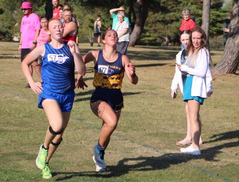 Gladwin’s Alanis Povey ran a career best time of 20:43.13 in a meet last Wednesday and went on to finish fourth at the Northern Michigan Meet of Champions Saturday in Cadillac.