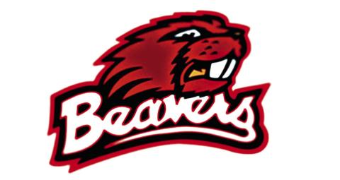Beaverton Volleyball falls to Oscoda in regionals