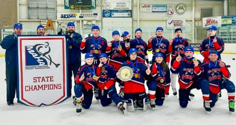 12U Gladiators complete unforgettable season