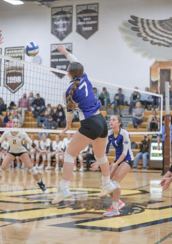 Gladwin falls in Division 2 volleyball district opener