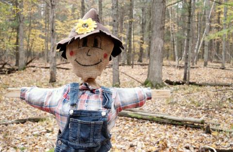 Little Forks Conservancy announces Fourth Annual Scarecrow Scavenger Hunt