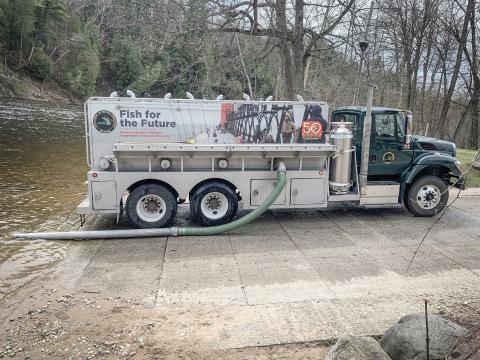 More than 9.1 million fish stocked in 2024 means plentiful Michigan fishing