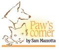 Why your dog’s leash matters