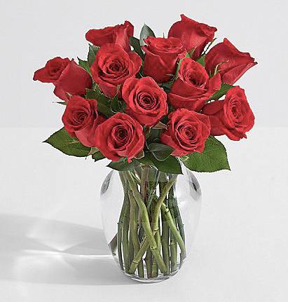 Order Kiwanis Sweetest Day Roses