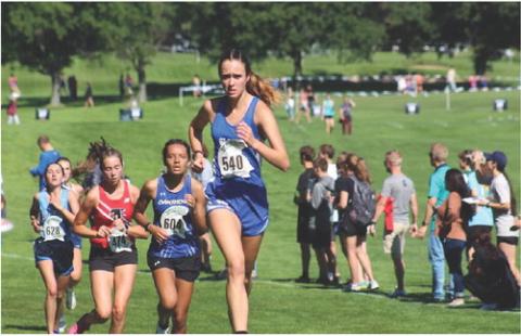 Gladwin Cross Country competes at MSU