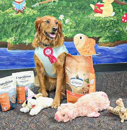 Izzy the Library Dog celebrated third birthday