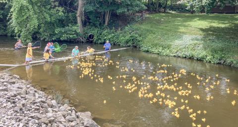 Rubber ducks fill the river and flock to the finish line at the end of the 35th Annual Great Cedar River Duck Race, which was held Saturday to benefit Hospice of Gladwin Area.