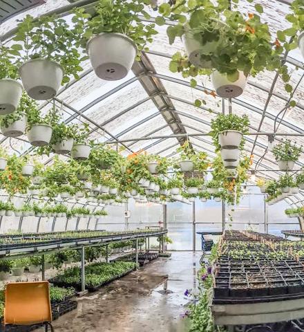 GHS Plant Sale upcoming