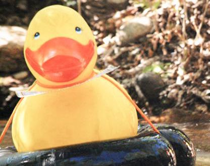 Hospice of Gladwin Area celebrates Great Cedar River Duck Race