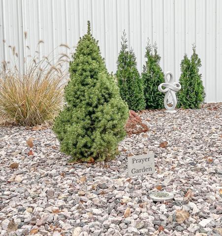 Good Shepherd Christian Fellowship Church have prayer garden available