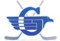 Gladwin hockey team splits two games at showcase