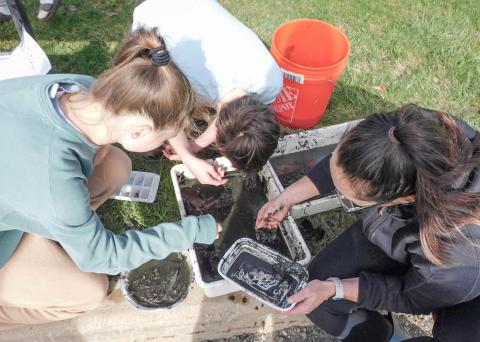 Skyline High School students collecting data during their annual pond project testing the school’s pond water quality ASHLEY HAN