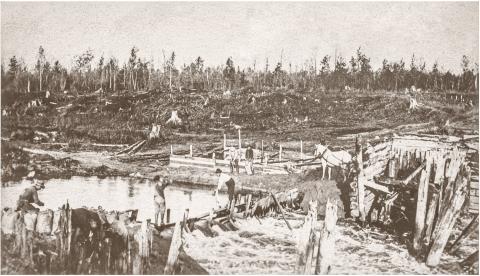 A LOOK BACK IN TIME | RIVER HOGS