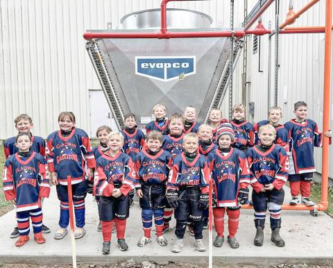The Gladwin Community Arena received a grant from the Kim Allen Morton Private Foundation and purchased an air-cooled condenser for the arena.