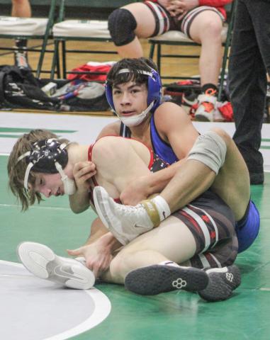 Seven local wrestlers qualify for Division 3 state meet at Ford Field