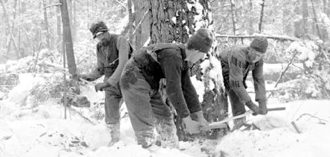 A LOOK BACK IN TIME | LOGGING IN GLADWIN COUNTY