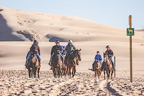 Shoreline horseback riding registration at Silver Lake now open