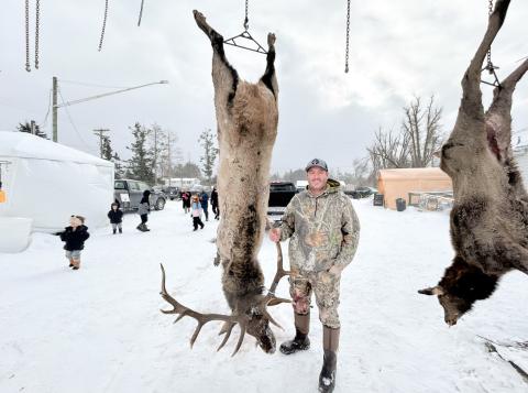 Brent Henige of New Lothrop shot this-559 pound bull on Dec. 13, 2025. DEPARTMENT OF NATURAL RESOURCES