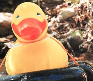 Duck Race July 12