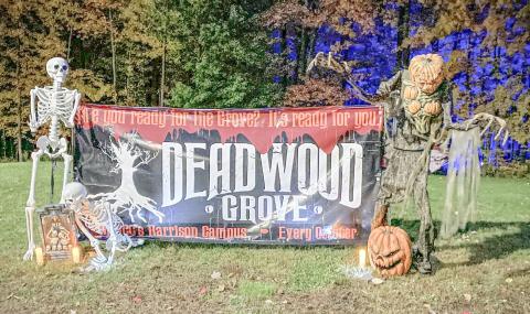 Deadwood Grove set to return at MMC Harrison campus