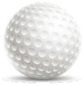 Gladwin golf team just misses the cut for state tourney