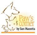 Hot pavement is a danger to pets