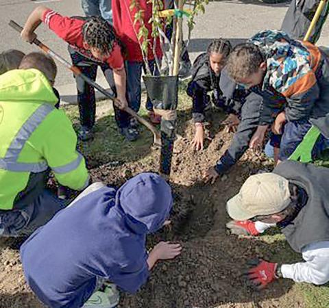People plant a tree as part of the DTE Foundation’s tree grant program.