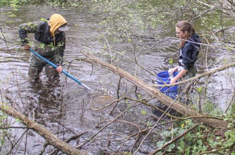 Volunteers help test Cedar River water quality