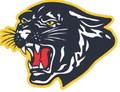 SSC football falls in finale