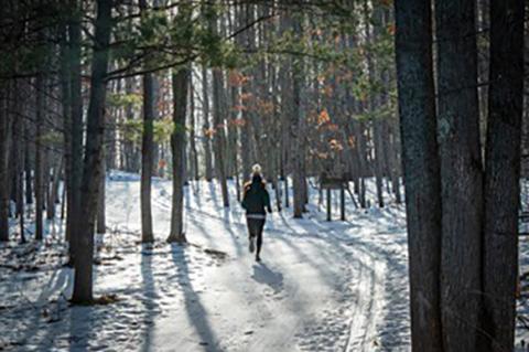 A runner makes her way up a snowy hill on the VASA Pathway on the east side of Traverse City in Grand Traverse County.