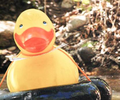 Hospice of Gladwin Area celebrates Great Cedar River Duck Race