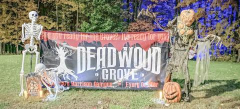 DEADWOOD GROVE SET TO RETURN