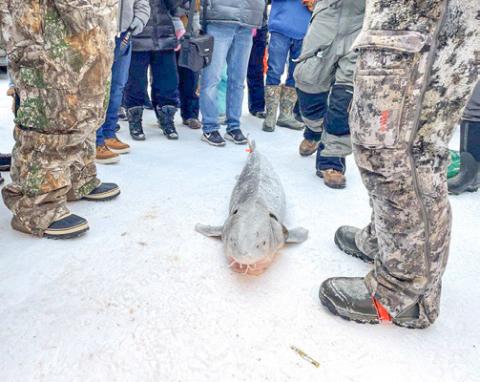 The 2026 lake sturgeon fishing season on Black Lake in Cheboygan County, Michigan, will begin at 8 a.m. Saturday, Feb. 7.
