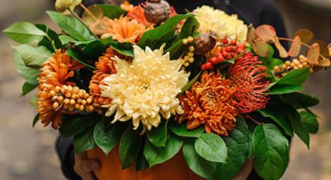 8 Flowers That Grow & Bloom in Fall