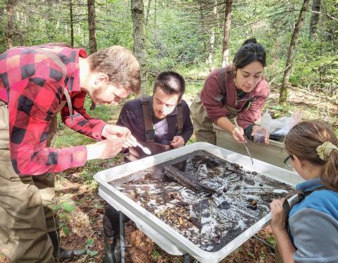 The Little Forks Conservancy works to permanently protect and improve natural environments in mid-Michigan by leading and inspiring actions that conserve vital habitats and waterways for the benefit of our entire community.