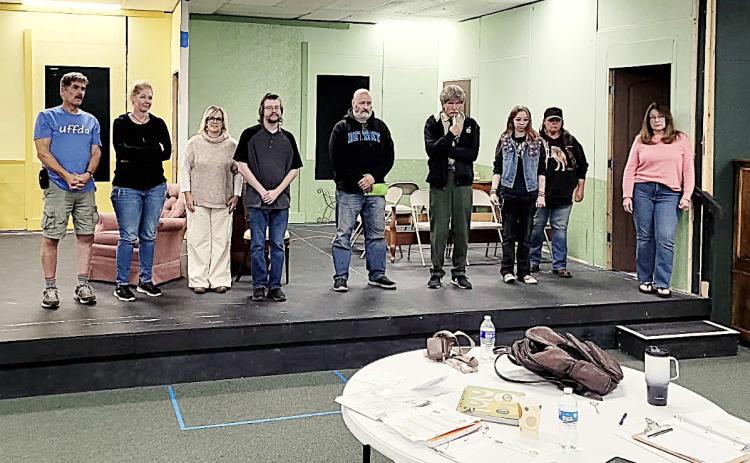 The Plaza Suite cast is pictured left to right: Dave Minor, Becky Packer, Liz Bebeau, Justin Marchington, Dave Popps, Kevin Allen, Ella Finkbeiner, Christine Converse, and Tina May.