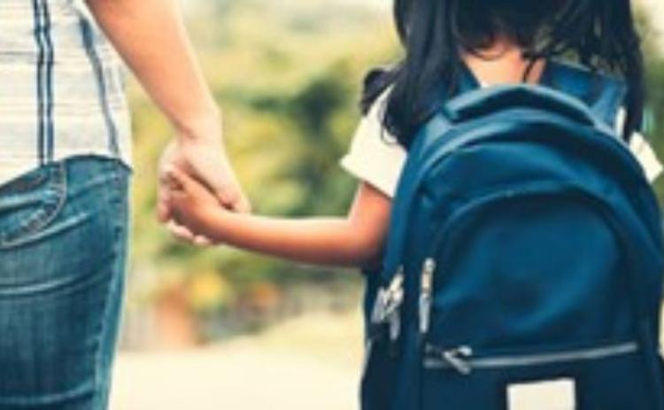 Risk and protective factors for youth and their mental health