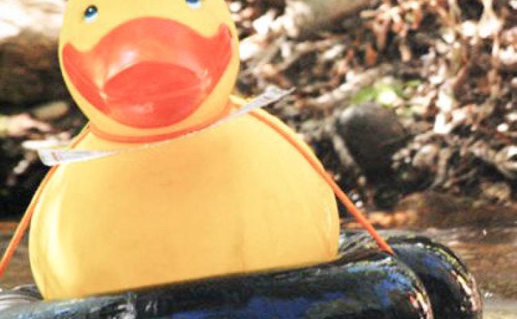 Hospice of Gladwin Area celebrates Great Cedar River Duck Race