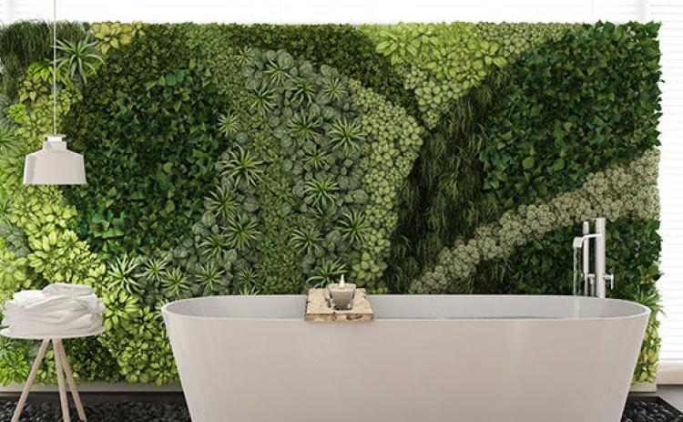 How to Build a Living Wall