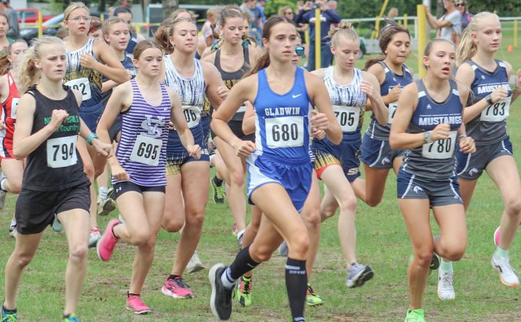 Gladwin girls win cross country invitational