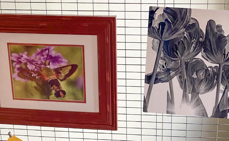 LOCAL ARTIST WORK DISPLAYED