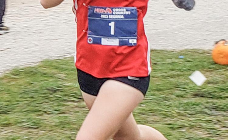 Tessa Wohlschlegel