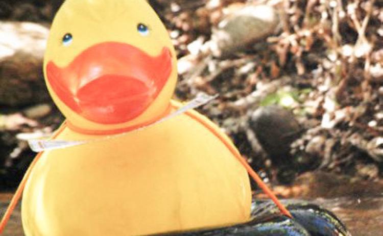 Hospice of Gladwin Area celebrates Great Cedar River Duck Race
