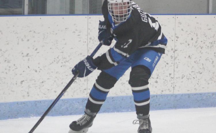 Braeden Guzman and the Gladwin hockey team skated to a 4-0 victory over Tawas last week before falling to Rochester Hills Stoney Creek.