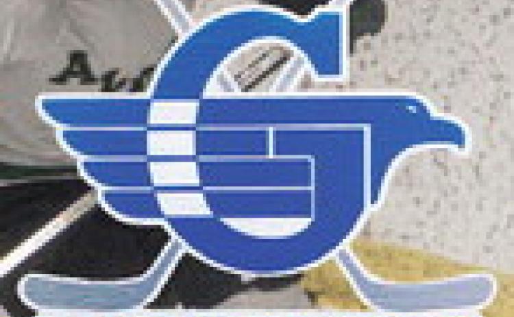 Gladwin hockey team learns its lessons after successful first season